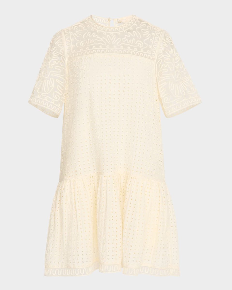 Gabi Embroidered Mini Dress